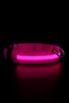 GlowGuard™ LED Dog Collar - USB Rechargeable Light Up Safety Collar for Night Walking | Weatherproof & Visible Up to 500M