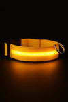 GlowGuard™ LED Dog Collar - USB Rechargeable Light Up Safety Collar for Night Walking | Weatherproof & Visible Up to 500M