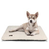 Self-Heating Cat & Dog Bed - No Electricity Needed | Washable Pet Warming Mat with Non-Slip Bottom | Perfect for Senior Pets & Cold Weather
